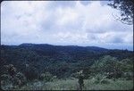 View of the interior of Malaita