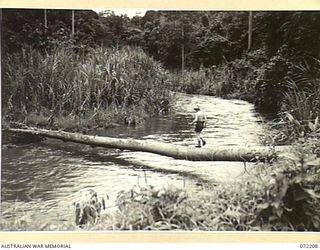 NAURO SWAMP, NEW GUINEA. 1944-04-05. A MEMBER OF THE 23RD LINE SECTION, 18TH LINES OF COMMUNICATION SIGNALS, CROSSING THE BRAUN RIVER