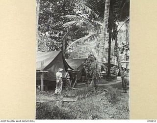 LAE, NEW GUINEA. 1945-01-18. TENT LINES OF THE PHOTOGRAPHERS AND ADMINISTRATION STAFF OF THE 2ND MILITARY HISTORY FIELD TEAM ATTACHED TO HEADQUARTERS, FIRST AUSTRALIAN ARMY