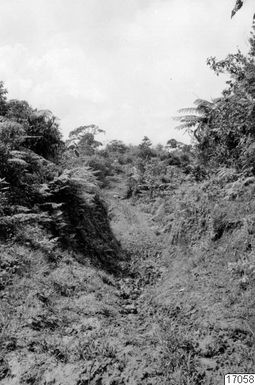 path, landscape, cloven-swedish, photograph, ph