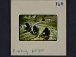 Plaiting pit pit