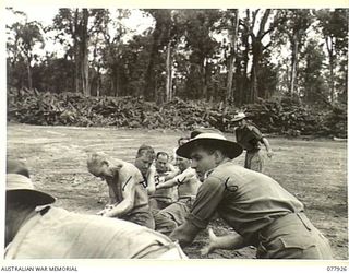 TOROKINA, BOUGAINVILLE ISLAND. 1945-01-01. THE 9TH INFANTRY BATTALION TEAM WINNING THE INTER-UNIT TUG-OF-WAR AT THE ATHLETIC MEETING ON THE SPORTS ARENA MEMORIAL PARK ORGANISED BY HEADQUARTERS, 3RD ..