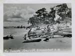 Child and woman sitting on log and a dog sleeping under a log at beach, Timbers beach, Amity Point, Stradbroke Island, Queensland