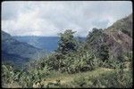 Kwiop Yamba from Duwai A, image 1 left to right