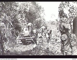 WAU-LABU ROAD, NEW GUINEA, 1946-01-09. MEMBERS OF 8 MECHANICAL EQUIPMENT COMPANY, ROYAL AUSTRALIAN ENGINEERS, USING A T18 INTERNATIONAL BULLDOZER TO CLEAR SCRUBBY GROWTH ALONG THE BANKS OF THE ..