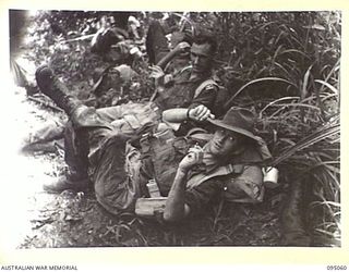 PANAMBERI RIVER, NEW GUINEA, 1945-08-05. THE COLUMN FROM D COMPANY, 2/7 INFANTRY BATTALION HALTED ON THE JAPANESE LINE OF COMMUNICATION TRACK UNTIL THE SCOUT PATROL AHEAD REPORTED IT CLEAR TO MOVE ..