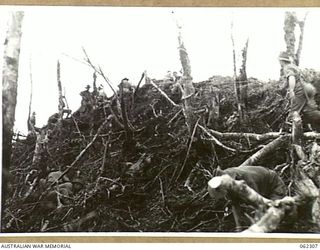 SHAGGY RIDGE, NEW GUINEA. 1943-12-27. TROOPS OF THE 2/16TH AUSTRALIAN INFANTRY BATTALION, 21ST AUSTRALIAN INFANTRY BRIGADE, CONSOLIDATING THEIR POSITION ON THE "PIMPLE". THIS POSITION WAS ..