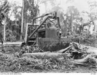 LAE, NEW GUINEA. 1944-03-24. A REPAIRED BULLDOZER CLEARING THE ROAD TO THE 2ND MECHANICAL EQUIPMENT WORKSHOP, AUSTRALIAN ELECTRICAL AND MECHANICAL ENGINEERS