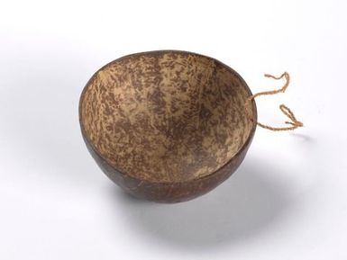 Coconut cup