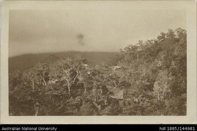 untitled [wooded hillside]