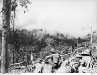 WEWAK AREA, NEW GUINEA, 1945-07-14. 2/1 FIELD REGIMENT AND 2/3 FIELD REGIMENT, FIRED 4,500 25-POUNDER SHELLS OVER A PERIOD OF 45 MINUTES. THIS WAS FOLLOWED BY 350 3-INCH MORTAR BOMBS AND 500 ROUNDS ..