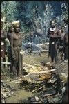 Pig festival, singsing, Kompiai: men prepare food in an earth oven