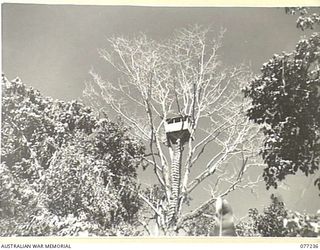 TOROKINA, BOUGAINVILLE ISLAND. 1944-12-24. AN OBSERVATION POST BUILT BY THE JAPANESE IN A TALL TREE DURING THEIR OCCUPATION OF THE AREA