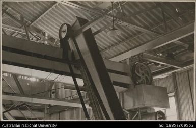 Broken slice elevator head, Pineapple Cannery