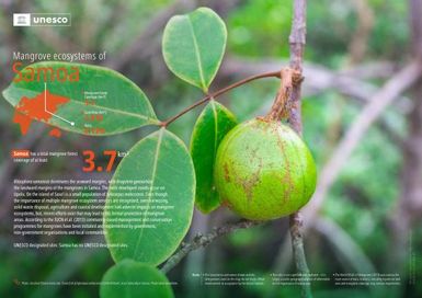 Mangrove Ecosystems in Samoa (poster)