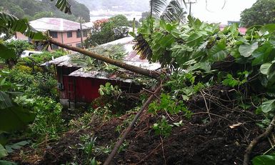 A large tree branch and debris cover a house rooftop and backyard; a result of the severe storms in American Samoa in 2014.