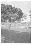 Mā'ulu'ulu of Queen Sālote College; 800 girls and Ve'ehala Leilua