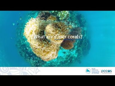 Ocean Science Fact: What are super corals?
