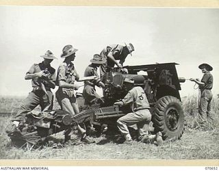 DALLMAN RIVER, NEW GUINEA, 1944-02-23. MEMBERS OF THE 2/14TH FIELD REGIMENT, CONDUCTING MAINTENANCE WORK ON A 25-POUNDER GUN. IDENTIFIED PERSONNEL ARE: VX40055 SERGEANT A.W. OLDHAM (3); SX15357 ..