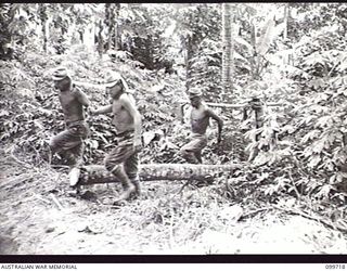 RABAUL, NEW BRITAIN, 1946-01-17. LOGS WHICH WILL BE USED FOR BUILDINGS IN RABAUL BEING CARRIED FROM THE BUSH BY A JAPANESE WORKING PARTY