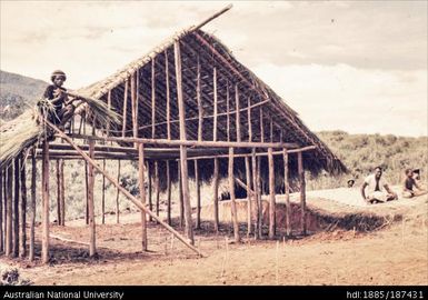 Thatching a roof of a new building