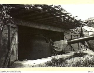 PORT MORESBY, PAPUA, NEW GUINEA. 1944-03-27. NO 1 GUN PAGA BATTERY, COAST ARTILLERY, THE GUNS WERE COVERED WITH IMPROVISED MATERIALS IN 1942-03 BY BATTERY PERSONNEL UNDER THE TECHNICAL SUPERVISION ..