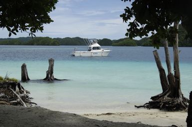 [Assignment: 48-DPA-SOI_K_Palau_6-7-9-07] Pacific Islands Tour: Visit of Secretary Dirk Kempthorne [and aides] to Palau Islands, Republic of Palau [48-DPA-SOI_K_Palau_6-7-9-07__DI12706.JPG]