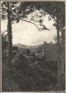 [Mountain village, Papua New Guinea] Frank Hurley