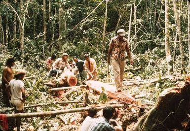 Canoe Making in Niue