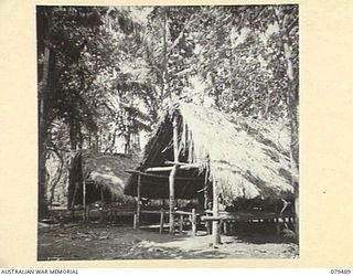 NADZAB, NEW GUINEA. 1943-11. WARDS OF THE STRIP A.D.S (AIRSTRIP ADVANCED DRESSING STATION) SET UP AND STAFFED BY THE 10TH FIELD AMBULANCE FOR THE HOLDING AND TREATMENT OF PATIENTS AWAITING AIR ..