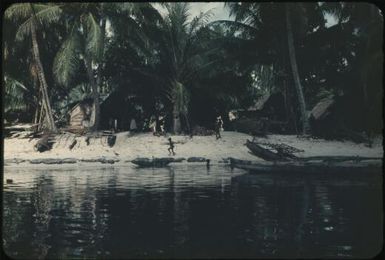 Canoes on the beach (2) : Mortlock Islands, Papua New Guinea, 1960 / Terence and Margaret Spencer