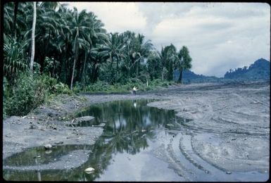 Black Beach (1) : Bougainville Island, Papua New Guinea, April 1971 / Terence and Margaret Spencer