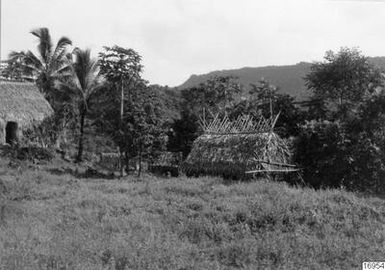 building, trees, kitchens, palm trees, photography, ph