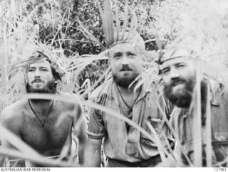 SALAMAUA AREA, NEW GUINEA. 1942-08. MEMBERS OF NEW GUINEA VOLUNTEER RIFLES, BEARDED AND CAMOUFLAGED, MAN A SECRET OBSERVATION POST ABOVE NUK NUK. LEFT TO RIGHT: NG2423 RIFLEMAN G. R. ARCHER; NG2192 ..