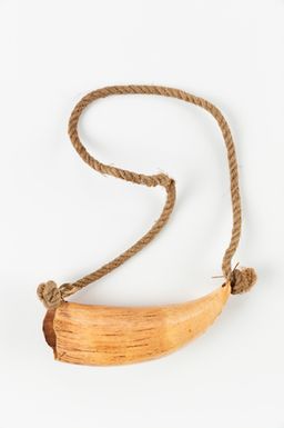 Tabua