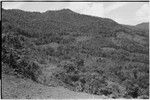 Bismarck Range mountains, view from Tsembaga