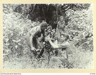 KARKAR ISLAND, NEW GUINEA. 1944-06-03. MEMBERS OF THE 37/52ND INFANTRY BATTALION POSITIONING A 3" MORTAR. IDENTIFIED PERSONNEL ARE:- V330335 PRIVATE W.F. SWAN (1); V285486 PRIVATE R.H. BROWN (2); ..