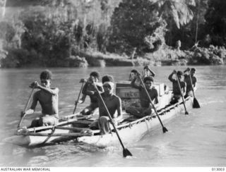 1942-08-06. NATIVES MAKING THEIR WAY UPSTREAM IN AN OUTRIGGER WITH ARMY SUPPLIES. NEW GUINEA