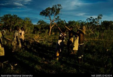 Aboriginal group with long sticks
