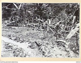 TOROKINA, BOUGAINVILLE, 1945-08-02. TROOPS PULLING THE CABLE THROUGH A BLOCK ATTACHED TO A BOGGED MATILDA TANK WHICH IS TAKING PART IN TRIALS OF THE M24 GENERAL CHAFFEE LIGHT TANK, CONDUCTED FOR ..