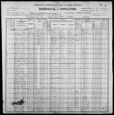 Illinois: KANE County, Enumeration District 80, Sheet No. 21A