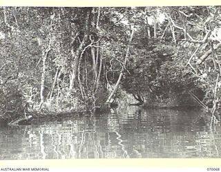 GOALING RIVER AREA, WEST NEW GUINEA. 1944-01-25. A SMALL BARGE CAN BE SEEN LYING ON ITS SIDE IN THIS PHOTOGRAPH WHICH ILLUSTRATES THE PERFECT AERIAL COVER FOR BARGE HIDEOUTS IN TRIBUTARIES AND ..