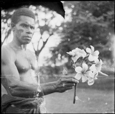 Aiau, the Chinnery's garden boy, with a frangipanni, Malaguna Road, Rabaul, New Guinea, ca. 1936 / Sarah Chinnery