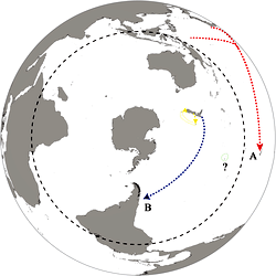 Long-distance dispersal events in the biogeography of Cellana.