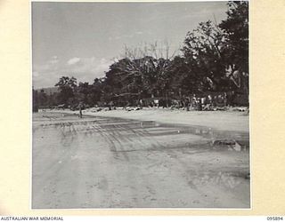 WIRUI BEACH, WEWAK, NEW GUINEA. 1945-09-04. TENT LINES OF 2/11 INFANTRY BATTALION ON THE BEACH