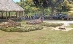 Cooked pigs for feast and woven baskets