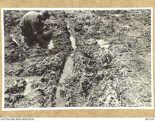 DUMPU, NEW GUINEA. 1943-12-06. QX4260 LIEUTENANT W. J. LYDDY, OFFICER COMMANDING, 18TH AUSTRALIAN ANTI-MALARIAL CONTROL UNIT, INSPECTING WATER IN A WHEEL TRACK FOR THE ANOPHELES LARVAE