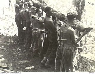 DOYABIE AREA, BOUGAINVILLE ISLAND. 1944-11-25. GUNNERS OF NO. 12 BATTERY, 4TH FIELD REGIMENT PREPARE TO PLACE A LARGE LOG INTO POSITION WHILE REINFORCING THE UNIT COMMAND POST WHILE PREPARING TO ..