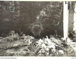 FORTIFICATION POINT, NEW GUINEA. 1944-04-06. THE EFFECT OF AN ARMOUR PIERCING PROJECTILE FIRED FROM A JAPANESE 75MM REGIMENTAL GUN TYPE MEIJI 41 AT THE FRONTAL ARMOUR OF A DISABLED MATILDA TANK ..