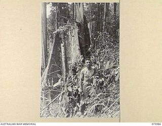 LAE, NEW GUINEA. 1944-09-15. NX103739 LIEUTENANT C B LOWE OF THE DEPUTY DIRECTOR OF MECHANICAL ENGINEERING, HEADQUARTERS, NEW GUINEA FORCE SHOWING A LARGE TREE FELLED BY THE FIRE FROM A BREN GUN. ..